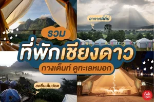 แนะนำ ที่พักเชียงดาว